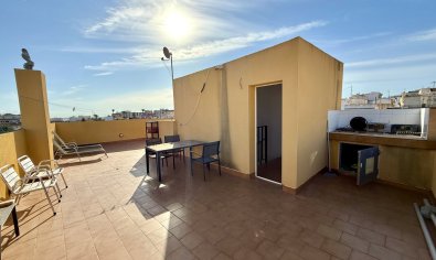 Resale - Apartment -
San Miguel de Salinas