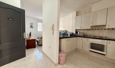 Resale - Apartment -
San Miguel de Salinas