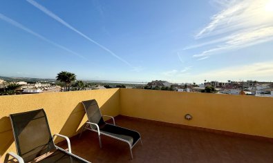 Resale - Apartment -
San Miguel de Salinas