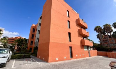 Reventa - Apartamento / piso -
Villamartín - Villamartin