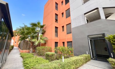 Reventa - Apartamento / piso -
Villamartín - Villamartin