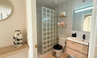 Ruime gerenoveerde 'maite' woning met 4 slaapkamers en gemeenschappelijk zwembad in Benijofar