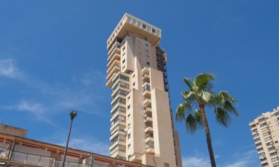 Reventa - Apartamento / piso -
Benidorm