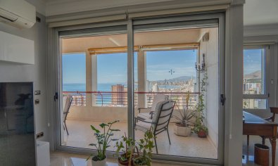 Reventa - Apartamento / piso -
Benidorm