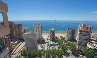 Reventa - Apartamento / piso -
Benidorm