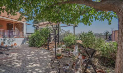 Bestaande bouw - Finca -
Orihuela - San Bartolome