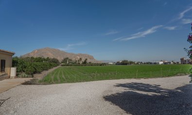 Bestaande bouw - Finca -
Orihuela - San Bartolome