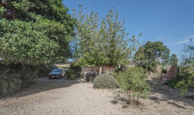 Bestaande bouw - Finca -
Orihuela - San Bartolome