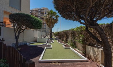Bestaande bouw - Appartement -
Guardamar del Segura - Puerto Deportivo