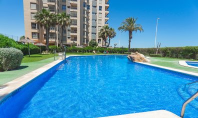 Bestaande bouw - Appartement -
Guardamar del Segura - Puerto Deportivo