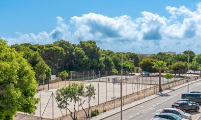 New Build - Villa -
Pilar de la Horadada