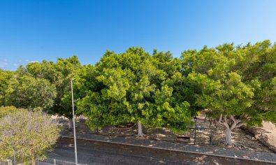 New Build - Villa -
Pilar de la Horadada