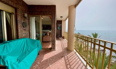 Bestaande bouw - Appartement -
Torrevieja - Playa del Cura