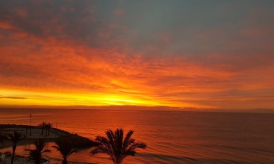 Bestaande bouw - Appartement -
Torrevieja - Playa del Cura