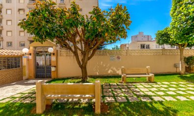 Bestaande bouw - Appartement -
Torrevieja - Centro