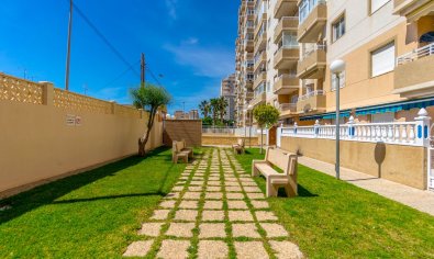 Bestaande bouw - Appartement -
Torrevieja - Centro