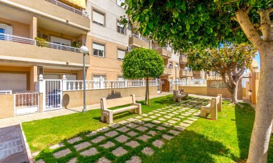 Bestaande bouw - Appartement -
Torrevieja - Centro