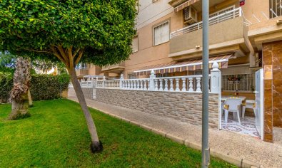 Bestaande bouw - Appartement -
Torrevieja - Centro