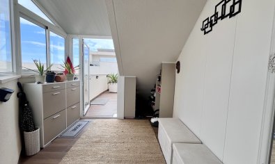 Bestaande bouw - Appartement -
San Miguel de Salinas