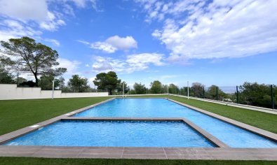 Bestaande bouw - Appartement -
San Miguel de Salinas