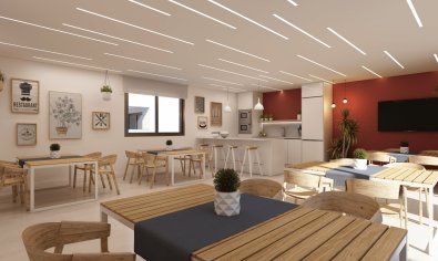 Obra nueva - Apartamento / piso -
Casares