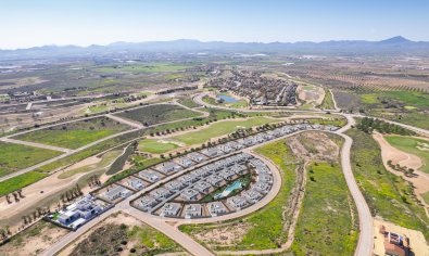 New Build - Villa -
Fuente Álamo - Fuente Alamo