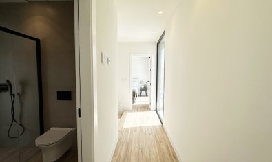 Obra nueva - Villa -
Torre de la Horadada