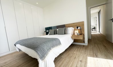 Obra nueva - Villa -
Torre de la Horadada