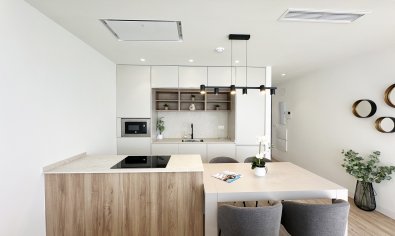 Obra nueva - Villa -
Torre de la Horadada