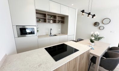 Obra nueva - Villa -
Torre de la Horadada