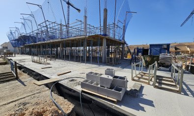 Obra nueva - Bungalow - Solarium -
Torre de la Horadada
