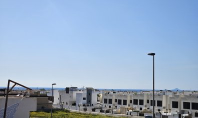 Obra nueva - Bungalow - Solarium -
Torre de la Horadada