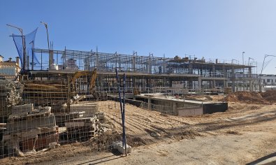 Obra nueva - Bungalow - Solarium -
Torre de la Horadada
