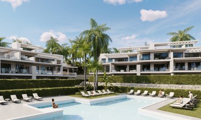 Obra nueva - Piso - Planta baja -
Estepona