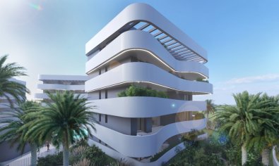 Obra nueva - ground-floor -
Guardamar del Segura - Guardamar Del Segura