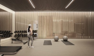 New Build - Villa -
Pueblo Nuevo