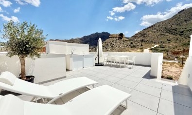 Obra nueva - Bungalow - Solarium -
Cox