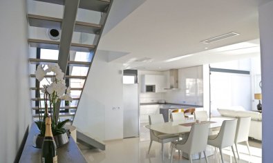 Obra nueva - Villa -
Dehesa De Campoamor