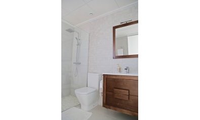 Obra nueva - Villa -
Dehesa De Campoamor