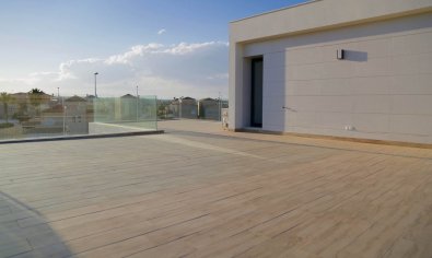 Obra nueva - Villa -
Dehesa De Campoamor