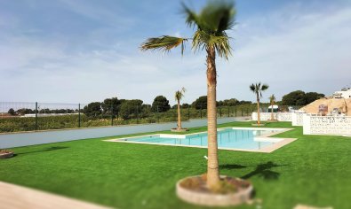 New Build - Villa -
Pilar de la Horadada