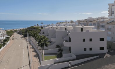 Obra nueva - Bungalow - Jardín -
Torrevieja