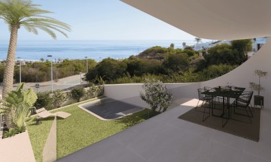 Obra nueva - Bungalow - Jardín -
Torrevieja