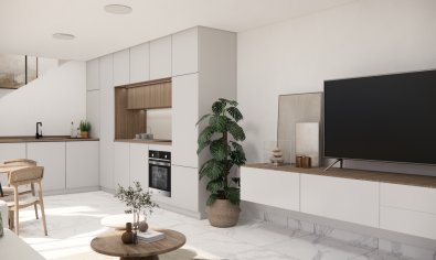 Obra nueva - Villa -
Los Montesinos