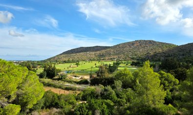 New Build - ground-floor -
La Sella