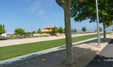 Nieuwbouw Woningen - Appartement -
Pilar de la Horadada