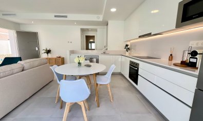 Obra nueva - terraced -
Orihuela Costa