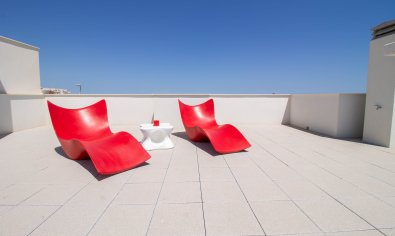 New Build - Bungalow - Solarium -
Vistabella