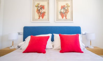 New Build - Bungalow - Solarium -
Vistabella