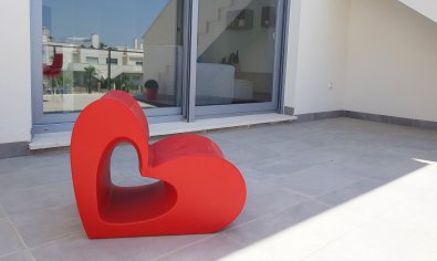 New Build - Bungalow - Solarium -
Vistabella